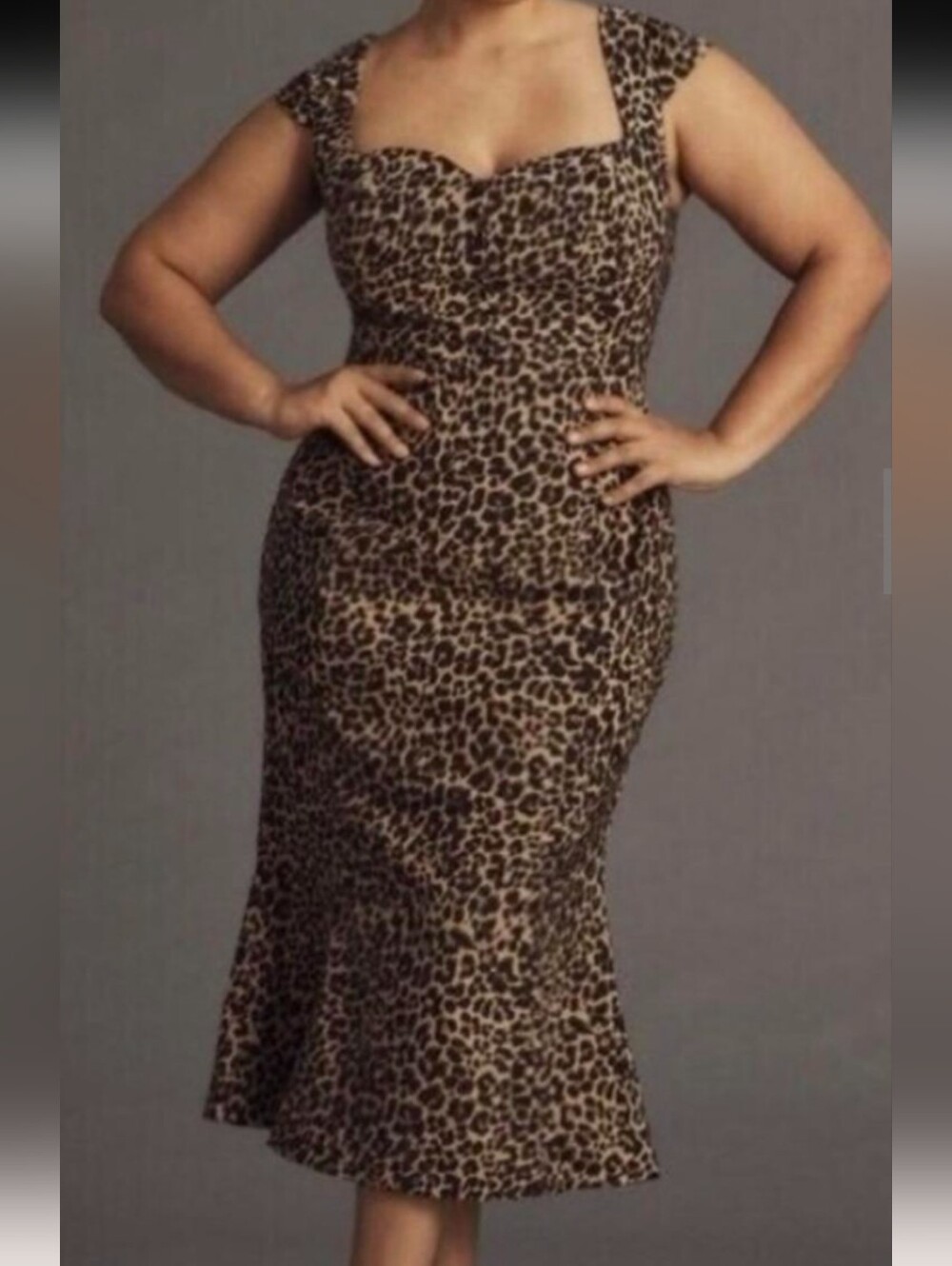 The Cecily Fit & Flare Sweetheart Dress.  NWT